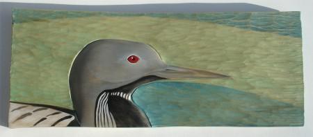 Black Throated Diver