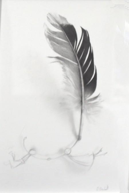 Feather in a Storm