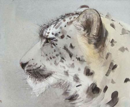 Snow Leopard i