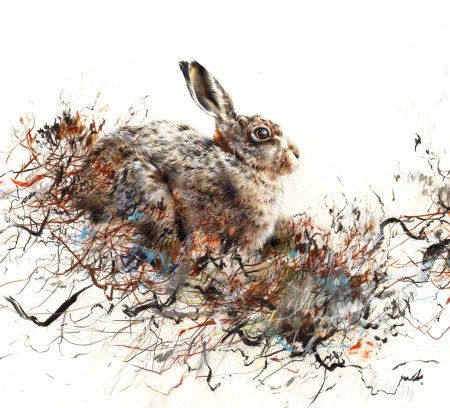 Brown Hare, Winter - Lucy Newton