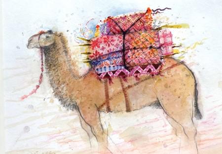 Camel, Morocco II