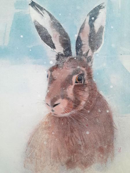 Magical Hare by Winifred Fergus