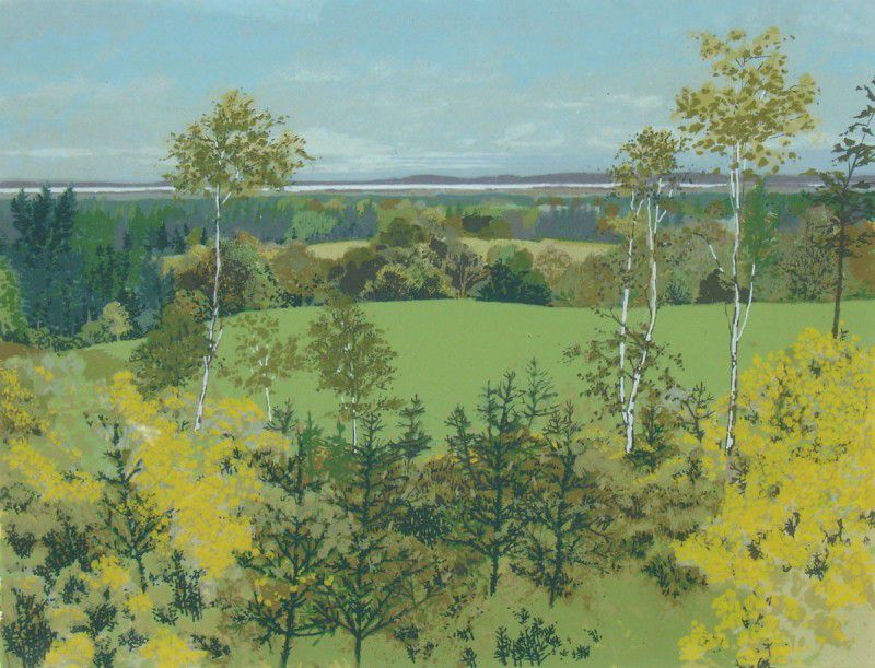 Gorse and Young Trees Above Altyre