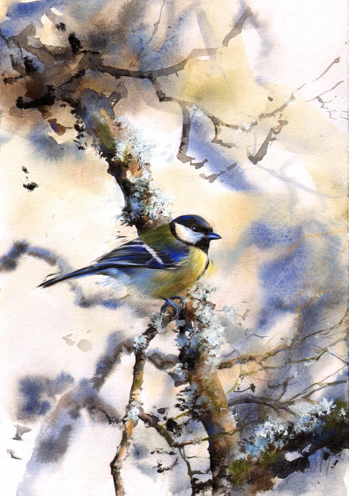 Great Tit, November by LUCY NEWTON
